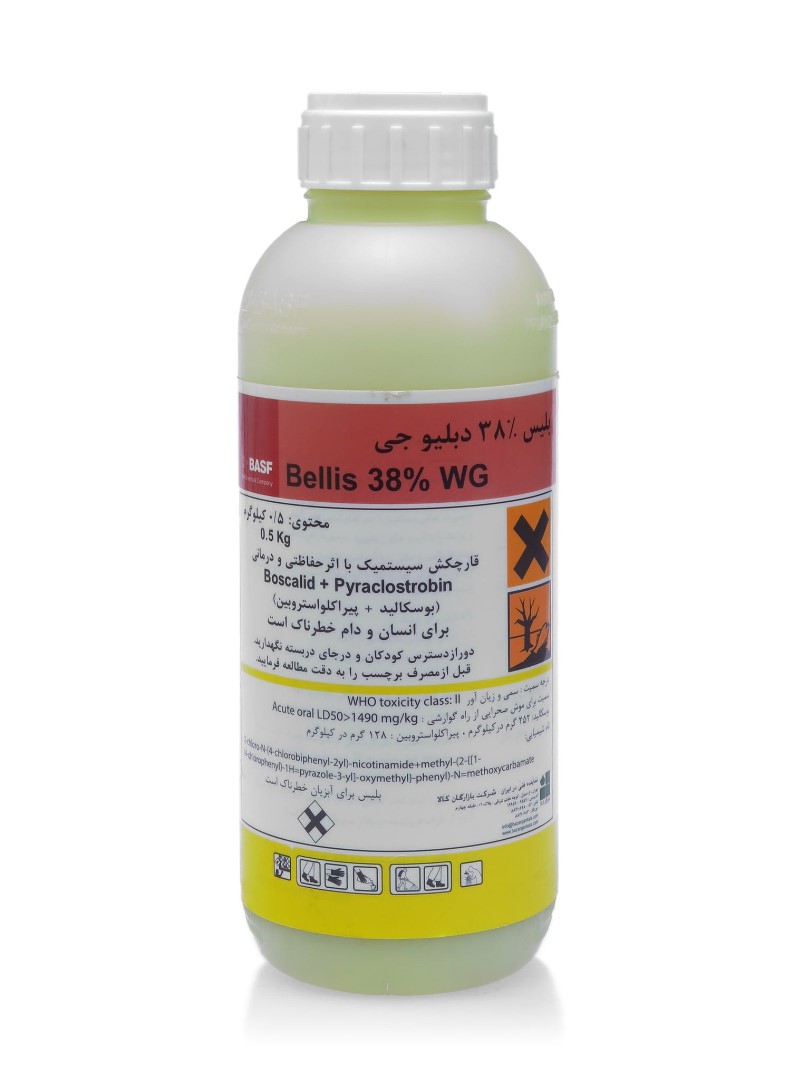 قارچ کش بلیس BASF