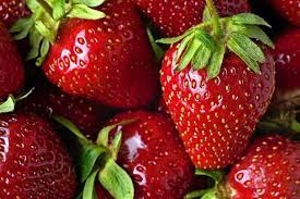 تغذیه توت فرنگی 