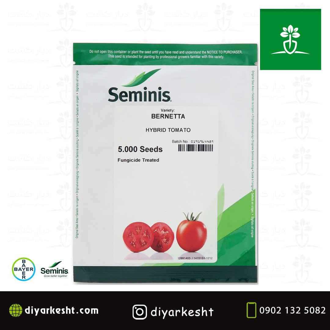 بذر گوجه برنتا سمینیس هیبرید BERNETA F1  