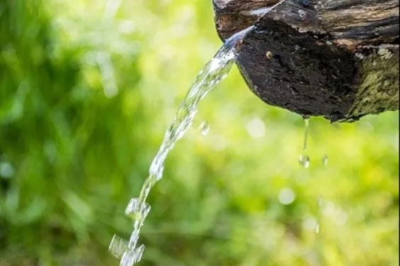 روشی پایدار برای آبیاری گیاهان